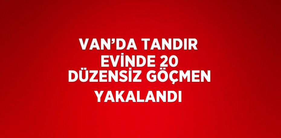 VAN’DA TANDIR EVİNDE 20 DÜZENSİZ GÖÇMEN YAKALANDI