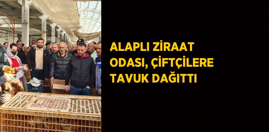 ALAPLI ZİRAAT ODASI, ÇİFTÇİLERE TAVUK DAĞITTI