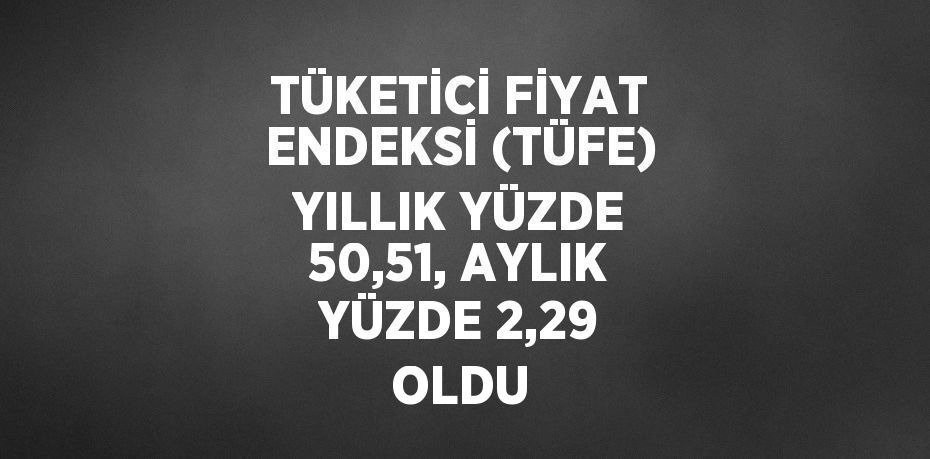 TÜKETİCİ FİYAT ENDEKSİ (TÜFE) YILLIK YÜZDE 50,51, AYLIK YÜZDE 2,29 OLDU