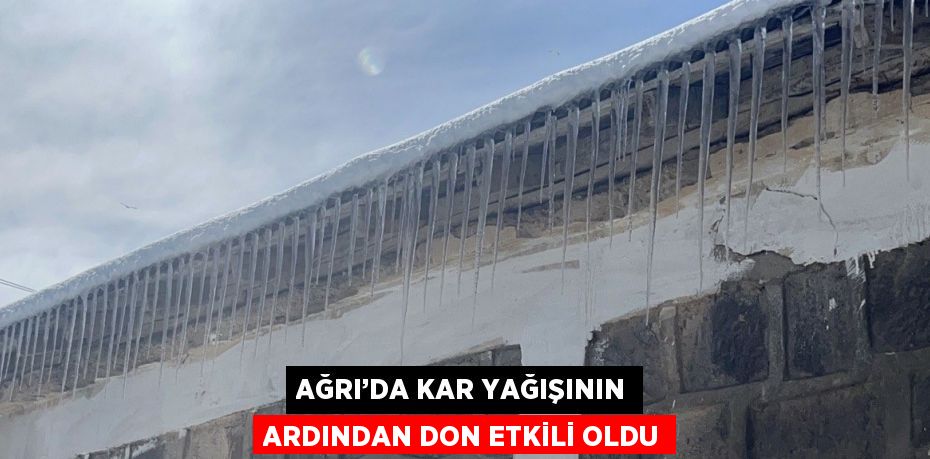 AĞRI’DA KAR YAĞIŞININ ARDINDAN DON ETKİLİ OLDU