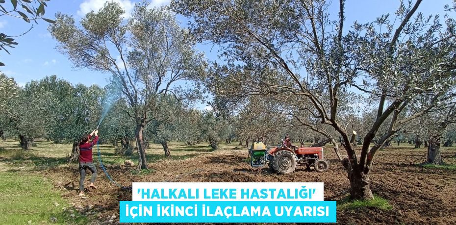 'Halkalı leke hastalığı' için ikinci ilaçlama uyarısı