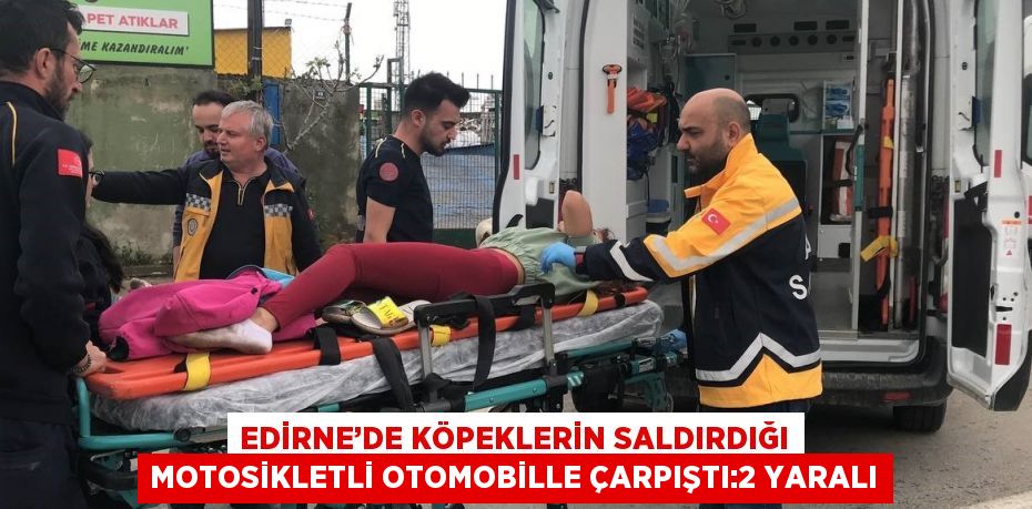 EDİRNE’DE KÖPEKLERİN SALDIRDIĞI MOTOSİKLETLİ OTOMOBİLLE ÇARPIŞTI:2 YARALI