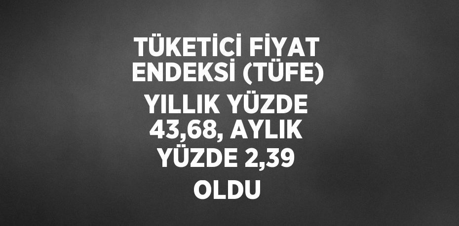 TÜKETİCİ FİYAT ENDEKSİ (TÜFE) YILLIK YÜZDE 43,68, AYLIK YÜZDE 2,39 OLDU