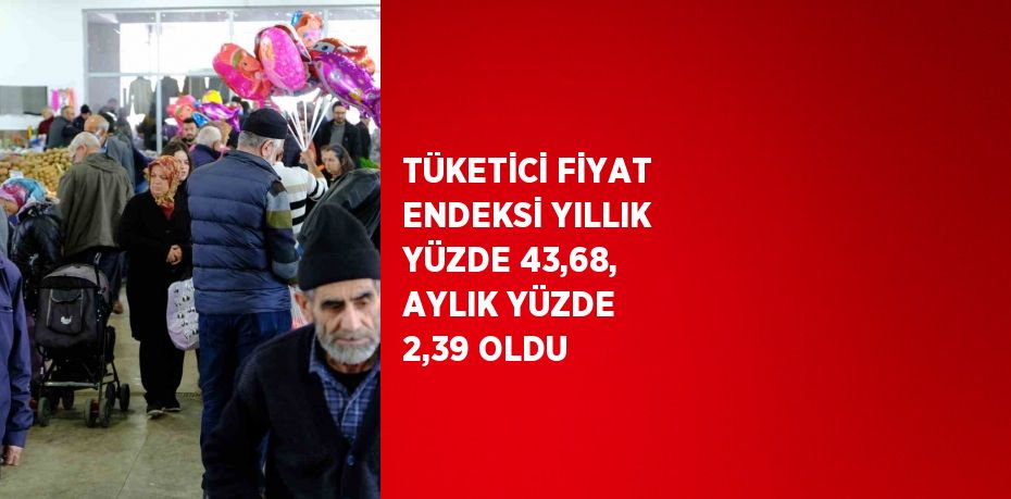 TÜKETİCİ FİYAT ENDEKSİ YILLIK YÜZDE 43,68, AYLIK YÜZDE 2,39 OLDU