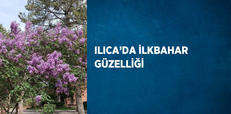 ILICA’DA İLKBAHAR GÜZELLİĞİ