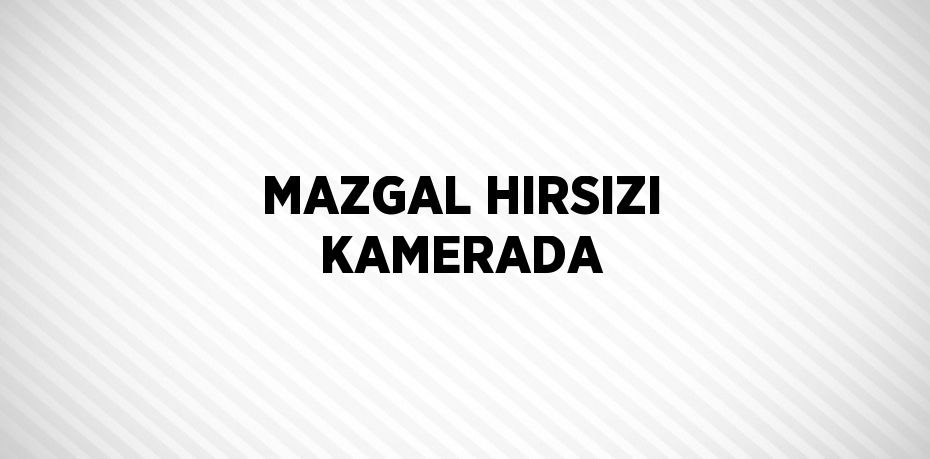 MAZGAL HIRSIZI KAMERADA