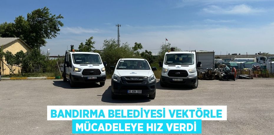 BANDIRMA BELEDİYESİ VEKTÖRLE MÜCADELEYE HIZ VERDİ