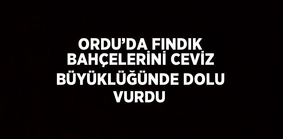 ORDU’DA FINDIK BAHÇELERİNİ CEVİZ BÜYÜKLÜĞÜNDE DOLU VURDU