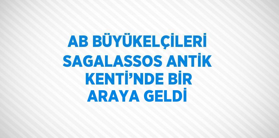 AB BÜYÜKELÇİLERİ SAGALASSOS ANTİK KENTİ’NDE BİR ARAYA GELDİ