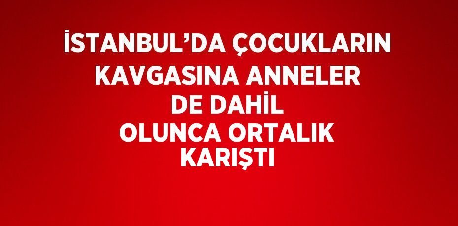 İSTANBUL’DA ÇOCUKLARIN KAVGASINA ANNELER DE DAHİL OLUNCA ORTALIK KARIŞTI