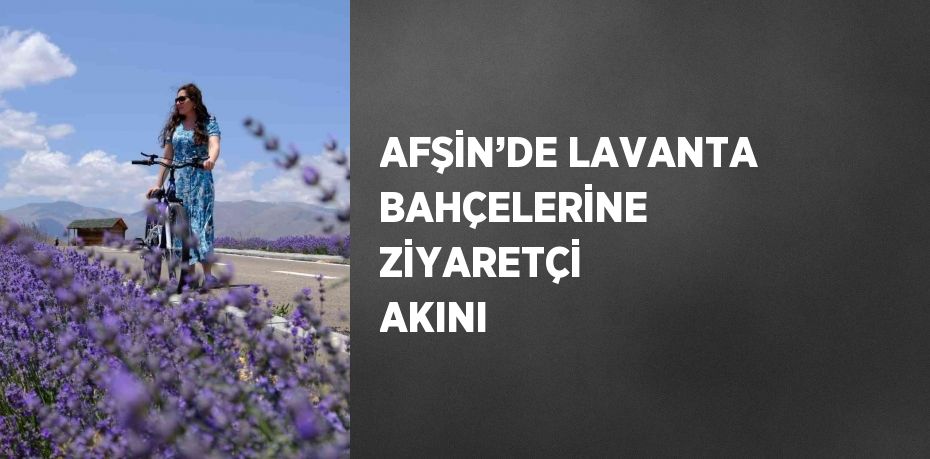 AFŞİN’DE LAVANTA BAHÇELERİNE ZİYARETÇİ AKINI