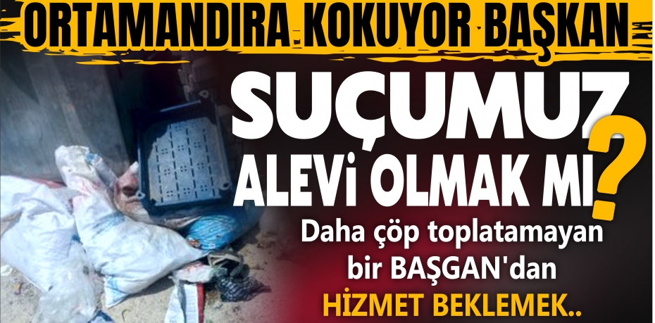 SUÇUMUZ ALEVİ OLMAK MI?