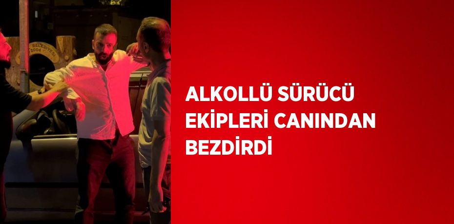 ALKOLLÜ SÜRÜCÜ EKİPLERİ CANINDAN BEZDİRDİ