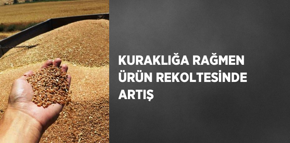 KURAKLIĞA RAĞMEN ÜRÜN REKOLTESİNDE ARTIŞ