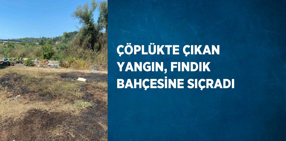 ÇÖPLÜKTE ÇIKAN YANGIN, FINDIK BAHÇESİNE SIÇRADI