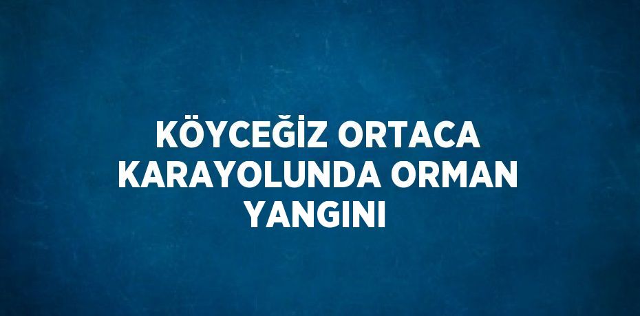 KÖYCEĞİZ ORTACA KARAYOLUNDA ORMAN YANGINI