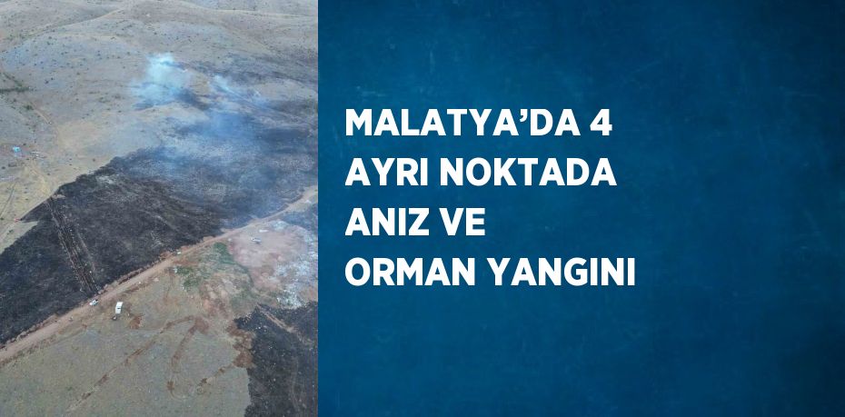 MALATYA’DA 4 AYRI NOKTADA ANIZ VE ORMAN YANGINI