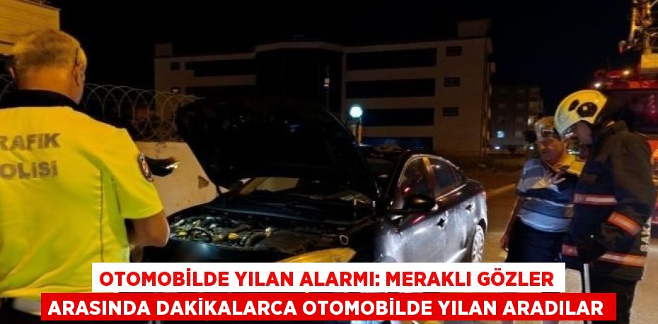 OTOMOBİLDE YILAN ALARMI: MERAKLI GÖZLER ARASINDA DAKİKALARCA OTOMOBİLDE YILAN ARADILAR