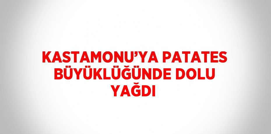 KASTAMONU’YA PATATES BÜYÜKLÜĞÜNDE DOLU YAĞDI