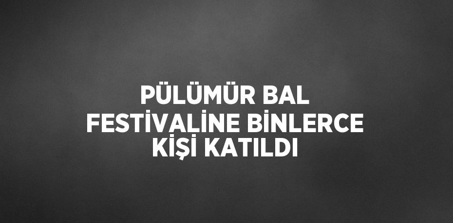 PÜLÜMÜR BAL FESTİVALİNE BİNLERCE KİŞİ KATILDI