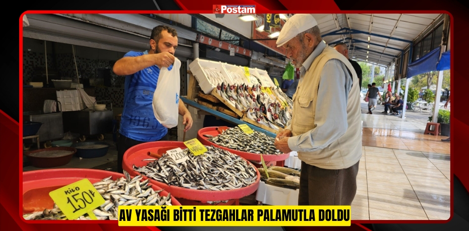 Av yasağı bitti tezgahlar palamutla doldu