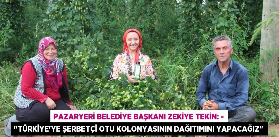 Pazaryeri Belediye Başkanı Zekiye Tekin: - "Türkiye’ye şerbetçi otu kolonyasının dağıtımını yapacağız"