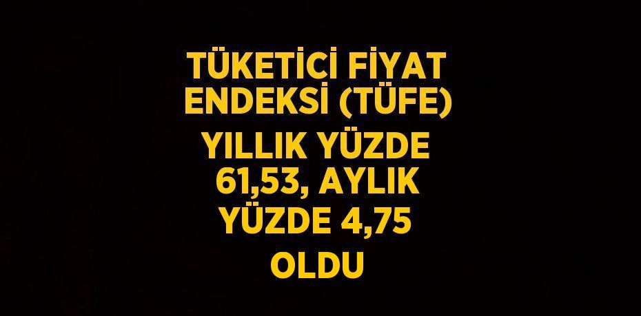 TÜKETİCİ FİYAT ENDEKSİ (TÜFE) YILLIK YÜZDE 61,53, AYLIK YÜZDE 4,75 OLDU