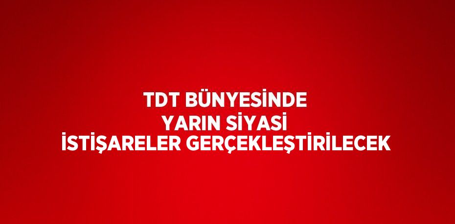 TDT BÜNYESİNDE YARIN SİYASİ İSTİŞARELER GERÇEKLEŞTİRİLECEK