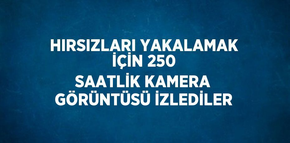 HIRSIZLARI YAKALAMAK İÇİN 250 SAATLİK KAMERA GÖRÜNTÜSÜ İZLEDİLER