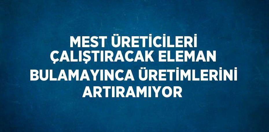 MEST ÜRETİCİLERİ ÇALIŞTIRACAK ELEMAN BULAMAYINCA ÜRETİMLERİNİ ARTIRAMIYOR