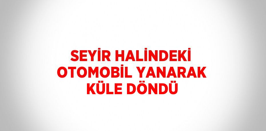 SEYİR HALİNDEKİ OTOMOBİL YANARAK KÜLE DÖNDÜ