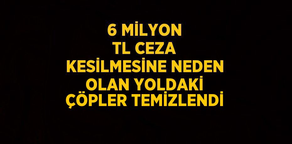 6 MİLYON TL CEZA KESİLMESİNE NEDEN OLAN YOLDAKİ ÇÖPLER TEMİZLENDİ