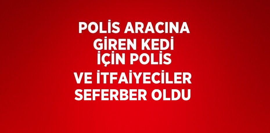 POLİS ARACINA GİREN KEDİ İÇİN POLİS VE İTFAİYECİLER SEFERBER OLDU