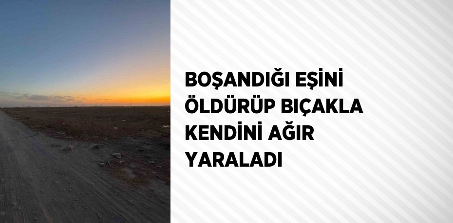 BOŞANDIĞI EŞİNİ ÖLDÜRÜP BIÇAKLA KENDİNİ AĞIR YARALADI