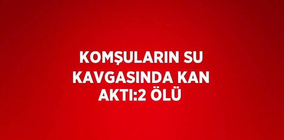 KOMŞULARIN SU KAVGASINDA KAN AKTI:2 ÖLÜ