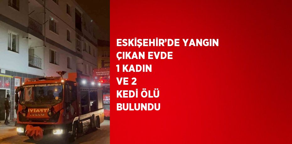 ESKİŞEHİR’DE YANGIN ÇIKAN EVDE 1 KADIN VE 2 KEDİ ÖLÜ BULUNDU