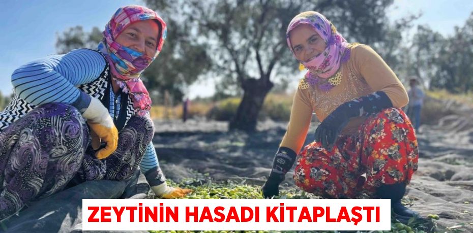 Zeytinin Hasadı Kitaplaştı