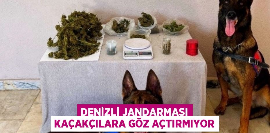 DENİZLİ JANDARMASI KAÇAKÇILARA GÖZ AÇTIRMIYOR