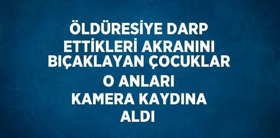 ÖLDÜRESİYE DARP ETTİKLERİ AKRANINI BIÇAKLAYAN ÇOCUKLAR O ANLARI KAMERA KAYDINA ALDI