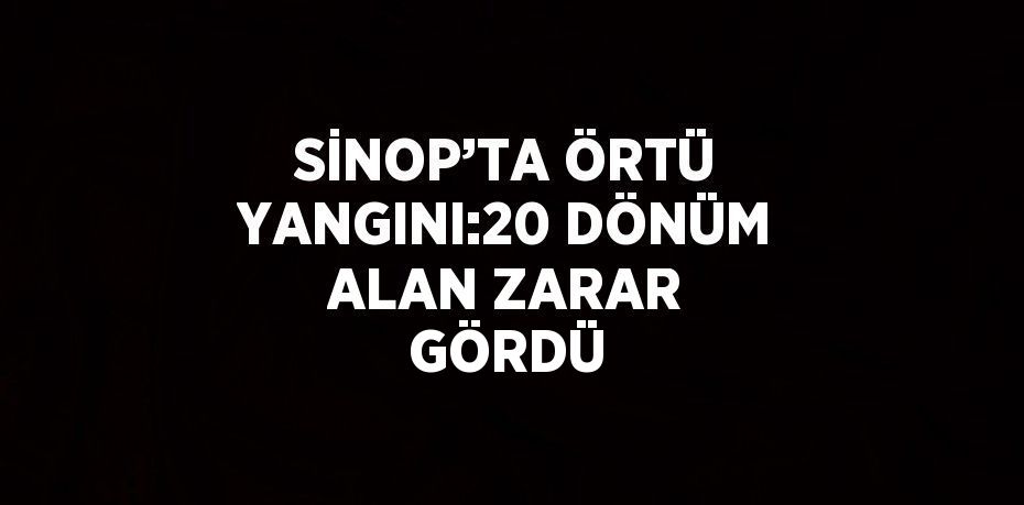 SİNOP’TA ÖRTÜ YANGINI:20 DÖNÜM ALAN ZARAR GÖRDÜ