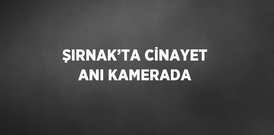 ŞIRNAK’TA CİNAYET ANI KAMERADA