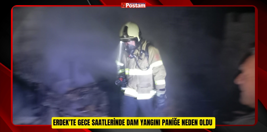 Erdek'te gece saatlerinde dam yangını paniğe neden oldu  