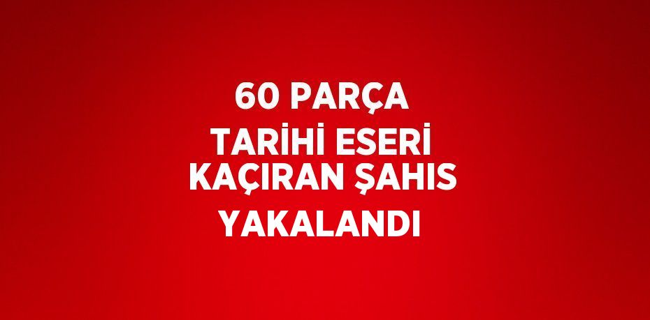 60 PARÇA TARİHİ ESERİ KAÇIRAN ŞAHIS YAKALANDI