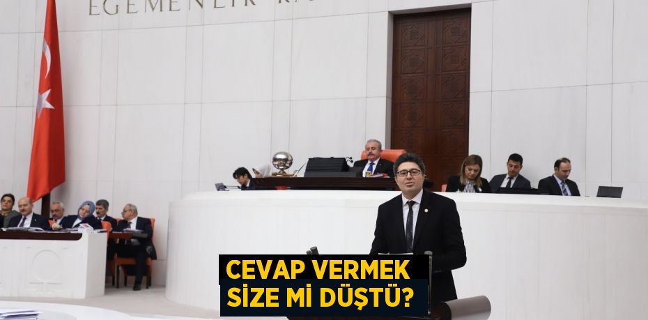 CEVAP VERMEK  SİZE Mİ DÜŞTÜ?