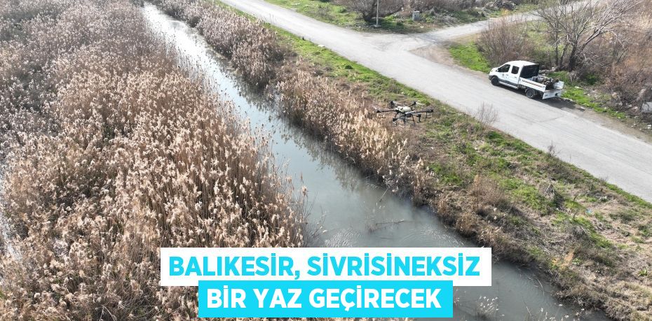 Balıkesir, sivrisineksiz bir yaz geçirecek