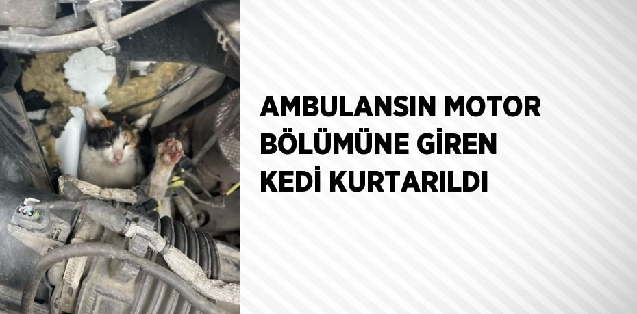 AMBULANSIN MOTOR BÖLÜMÜNE GİREN KEDİ KURTARILDI