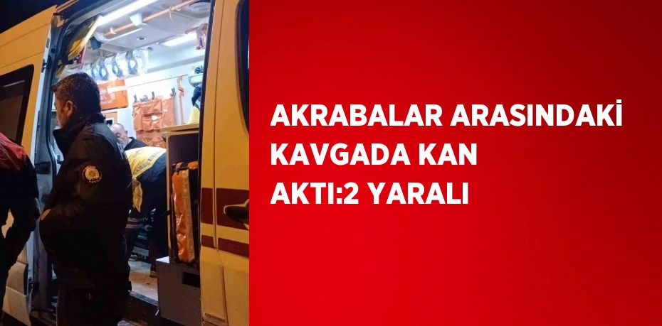 AKRABALAR ARASINDAKİ KAVGADA KAN AKTI:2 YARALI