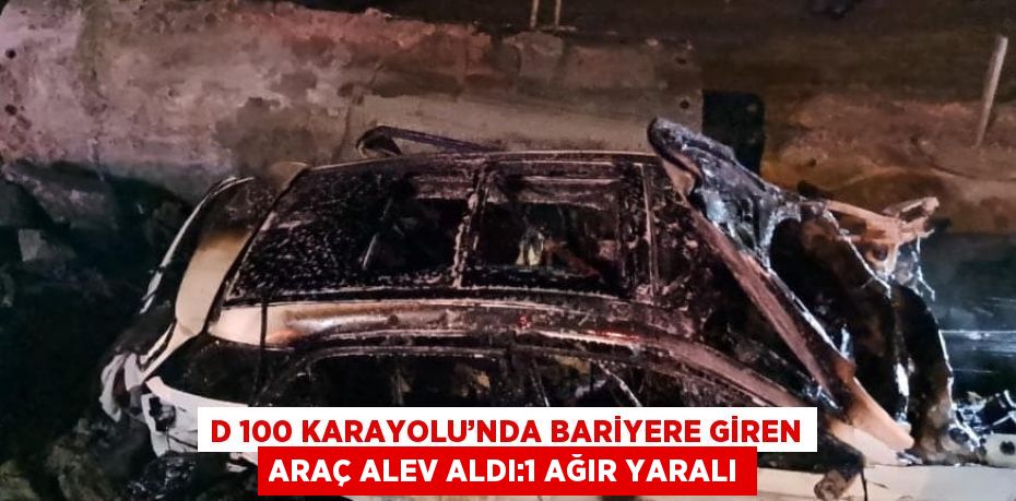 D 100 KARAYOLU’NDA BARİYERE GİREN ARAÇ ALEV ALDI:1 AĞIR YARALI