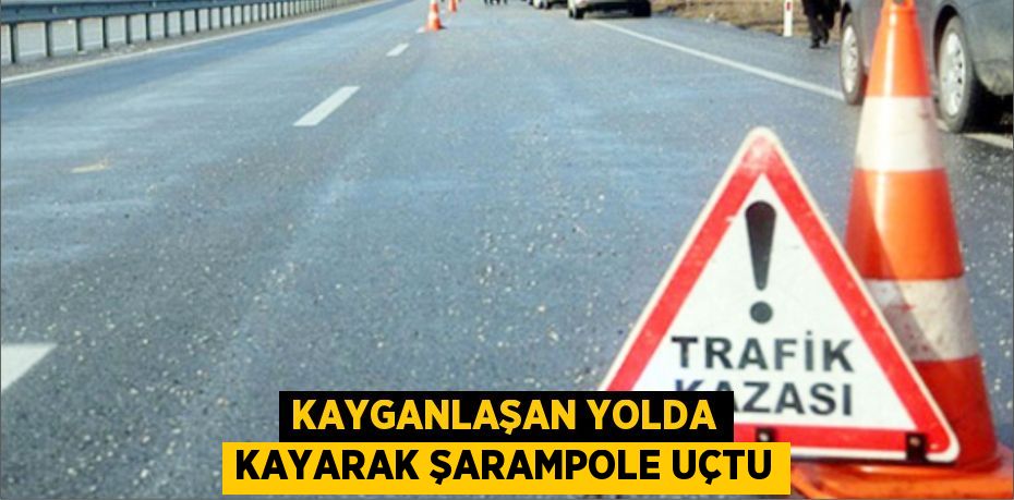 Kayganlaşan yolda kayarak şarampole uçtu