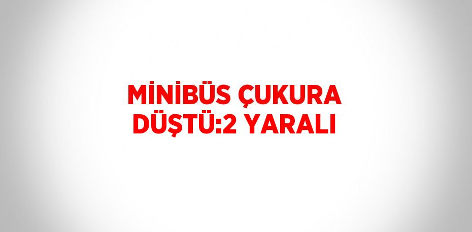 MİNİBÜS ÇUKURA DÜŞTÜ:2 YARALI